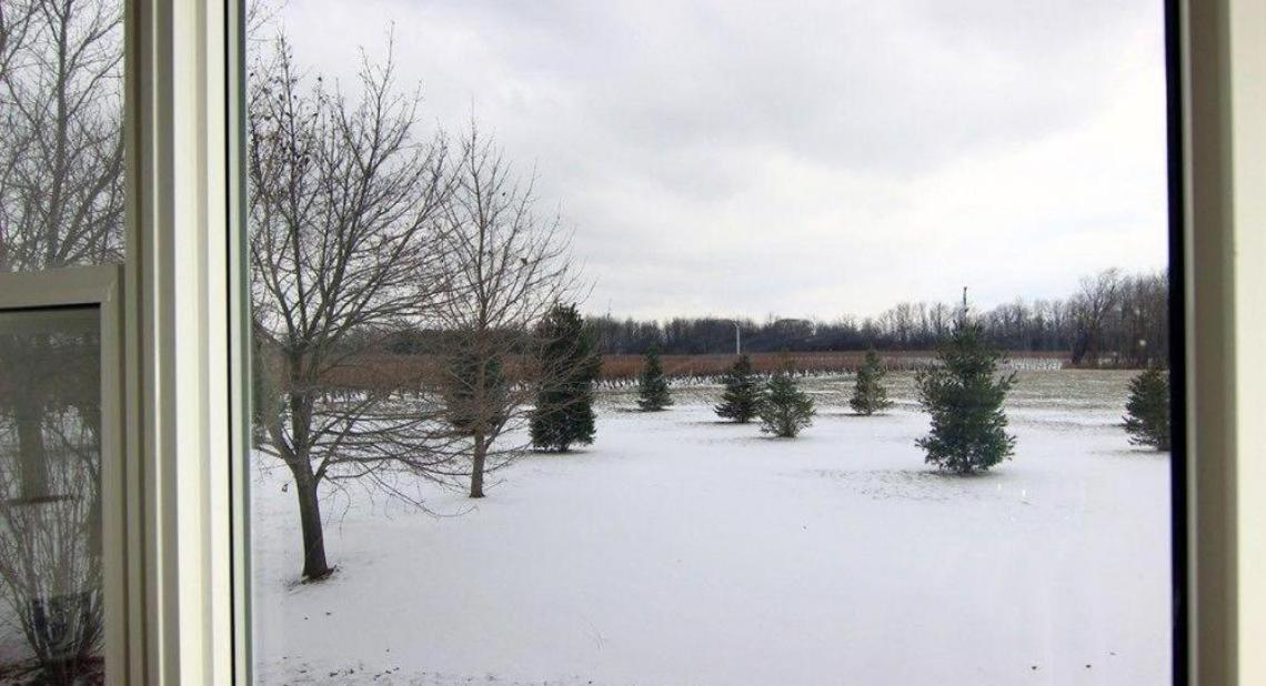 Cobblestone Bed And Breakfast Niagara-on-the-Lake Екстер'єр фото